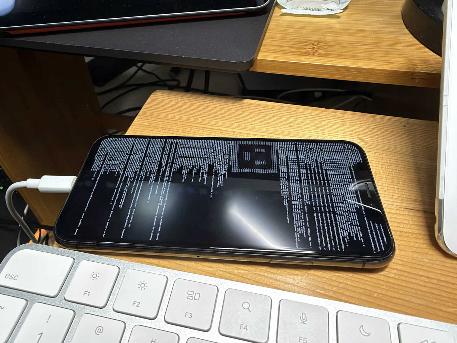 自定义恢复环境运行在 iPhone X 上